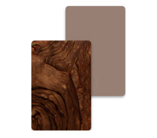 Echoes<br>906335_906335T