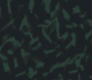 Creative Mind<br>211590_211590T