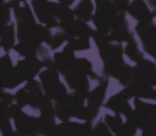 Creative Mind<br>211591_211591T