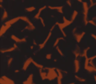 Deep Mind<br>211581_211581T