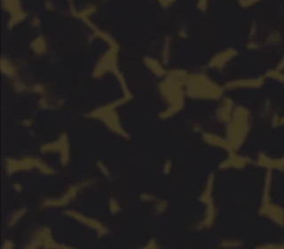 Deep Mind<br>211582_211582T