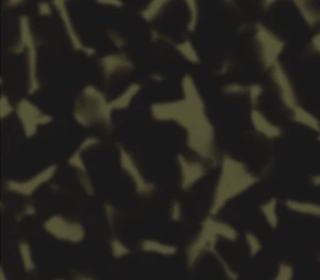 Deep Mind<br>211583_211583T