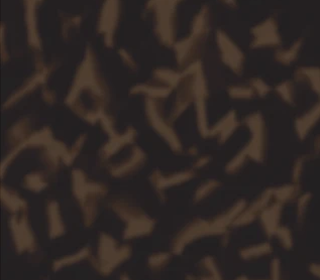 Deep Mind<br>211585_211585T