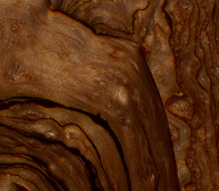 Echoes<br>906335_906335T