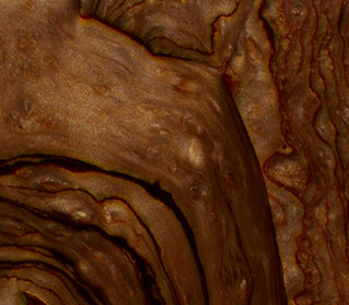 Echoes<br>906338_906338T