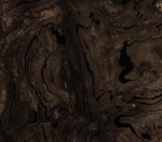 Echoes<br>906339_906339T