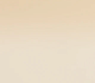 Foundation<br>A66124_A66124T