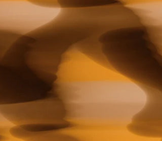 Horizon<br>C36004_C36004T