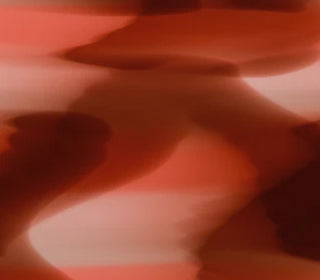 Horizon<br>C36005_C36005T