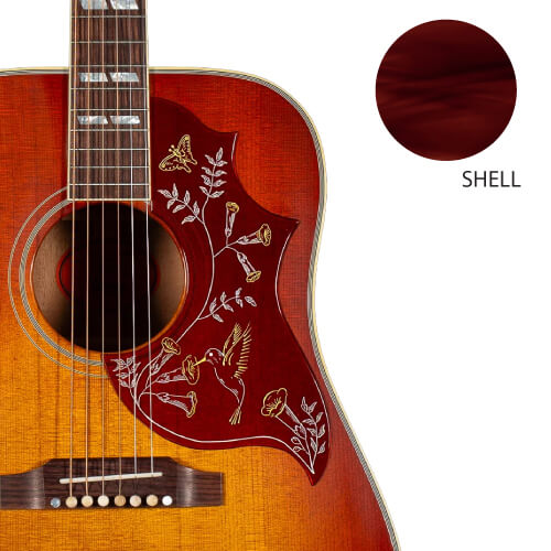 Acoustic guitar with shell color swatch on a white background