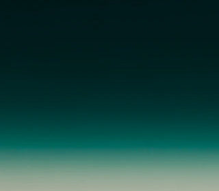 Paradox<br>C83003_C83003T