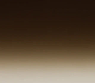 Paradox<br>C83005_C83005T