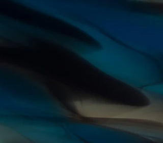 Sublime<br>B92027_B92027T