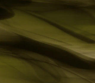 Sublime<br>B92029_B92029T