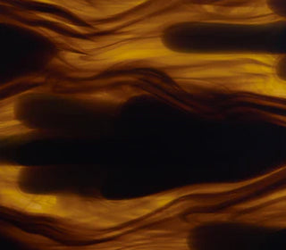 Utah<br>C78000_C78000T