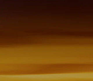 Voyage<br>A87043_A87043T