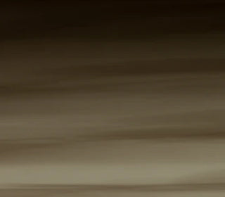 Voyage<br>A87046_A87046T